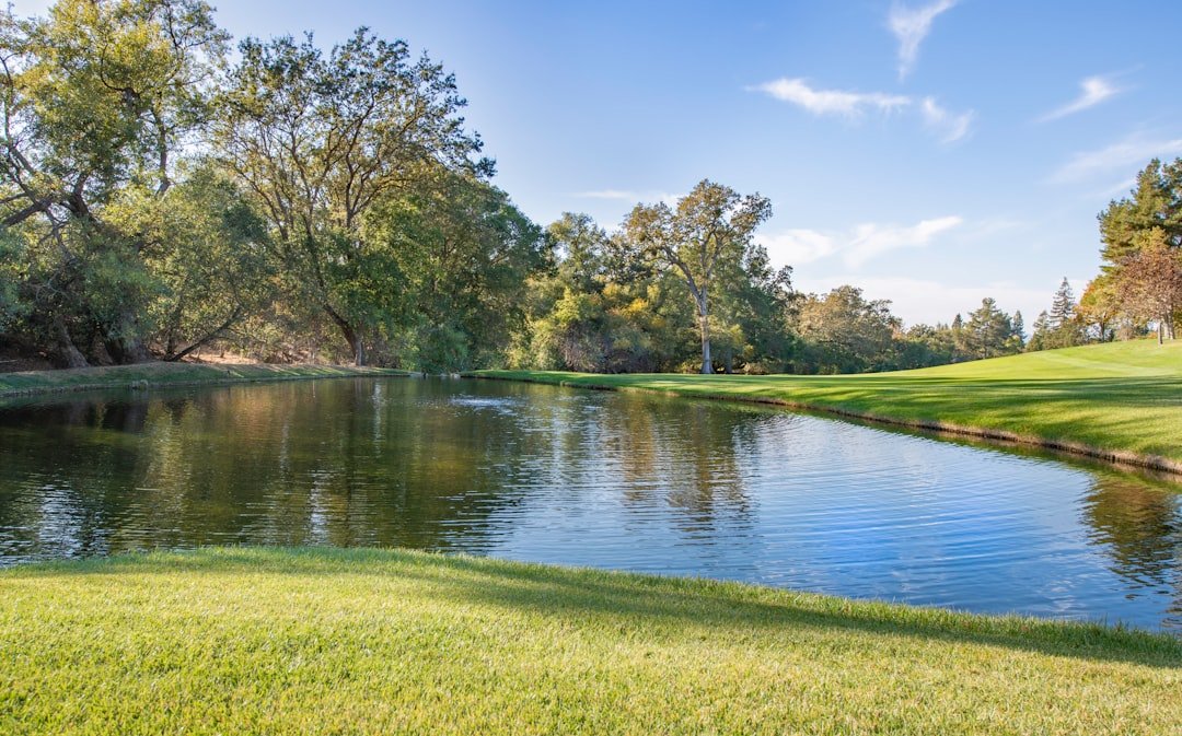 A small pond surrounded by green grass and trees under a clear blue sky on a sunny day.