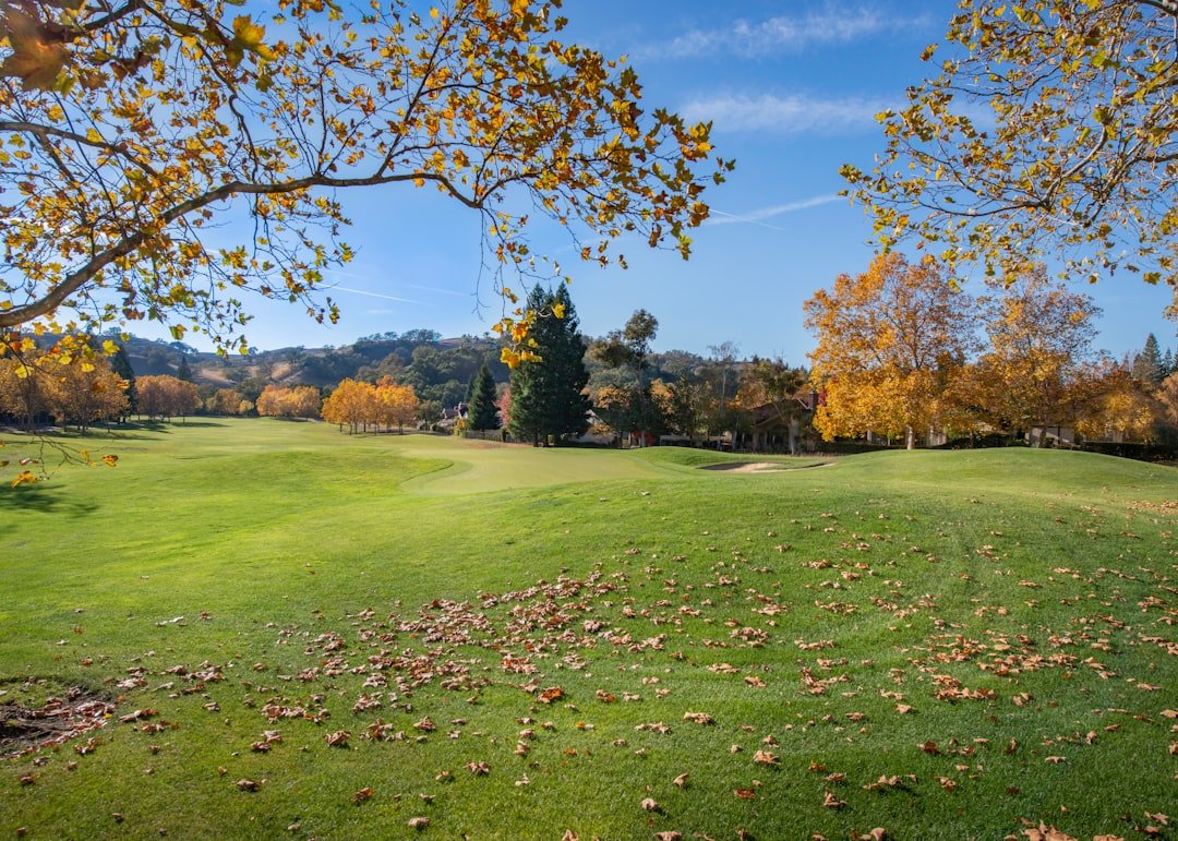 A golf course with green grass and scattered autumn leaves, surrounded by trees with fall foliage under a clear blue sky.